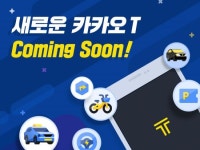 플랫폼택시 시장 선점 나서는 카카오…자본력 내세워 택시회사 잇따라 인수