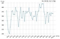 에스제이켐 특허권 취득
