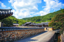 백만 송이 황금빛 ‘태양 꽃’… 내 마음에 방긋