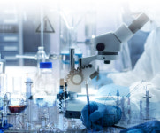 한국 화학소재기업 영세성 뚜렷, 유망기업 집중 지원 필요