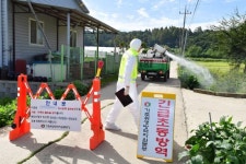 파주시 양돈농가서 아프리카돼지열병 발생…북한 유입 가능성 무게