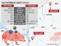 확진된 두 농장 연결고리 없어… 감염경로 여전히 깜깜