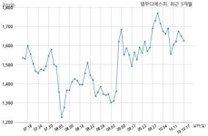 영우디에스피 삼성디스플레이 주식회사와 45억원 계약체결