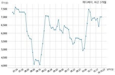 메디쎄이 특허권 취득