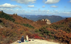 [포착] “단풍나무에 멋짐 걸렸네” 가을 절정 만끽하는 시민들