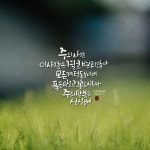 [캘리] 주의 사랑 이 사랑은 결코 변치않아 모든 계절 돌보시네