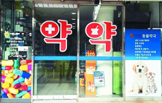 말라리아 처방 받았는데  동네약국에는 약이 없다