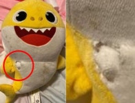 잠든 3살배기 머리맡 지키던 ‘아기상어’, 총알 막았다