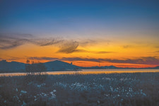 저녁 노을에 점묘법으로 그린 ‘금강 피카소’의 추상화