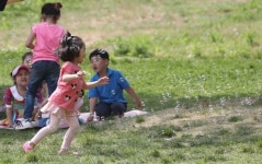 도전, 위험, 자유…아이들에게서 사라진 몇 가지에 관한 이야기
