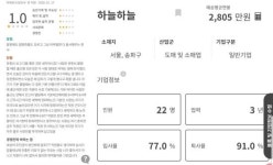 “착한 사장 코스프레 그만하세요”…논란된 유튜버 하늘 회사 후기