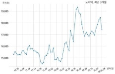 노바텍 157억원 규모 채무보증 결정