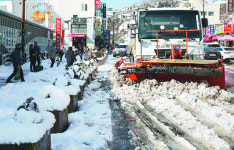 [포토] 동해시에 18㎝ 폭설