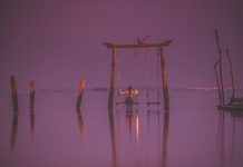 바다와 나무그네가 어우러진 황홀한 노을 풍경