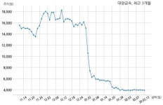 대양금속 단기차입금 253억원 증가
