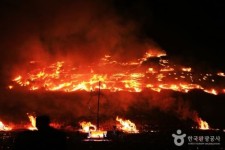 ‘새봄맞이 불놓기’ 제주들불축제, 올해 계획대로 연다