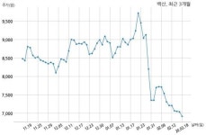 백산 주당 100원 현금 배당 결정