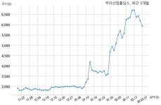 우리산업홀딩스 주당 25원 현금 배당 결정