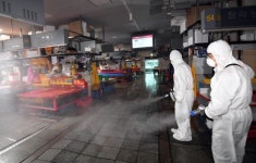 [포착] 적막 감도는 부산 자갈치시장… 해방 후 첫 휴장