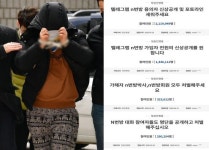 靑 대답 기다리는 4건의 ‘n번방 청원’, 420만이 움직였다