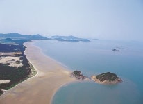 튤립 300만 송이 임자도 대광해수욕장 새롭게 단장