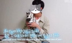 “펫샵묘 맞지만…관심받고 싶었다” 유튜버 갑수목장의 변명