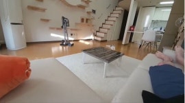 “펫샵묘 맞지만…관심받고 싶었다” 유튜버 갑수목장의 변명