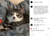 ‘냥이 집사’ 유승호, 갑수목장에 분노 “돈벌이 수단 아닌데”