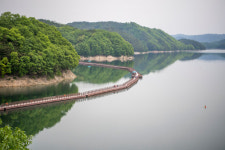 유유자적 물길 걸어 싱그러운 신록 속으로…