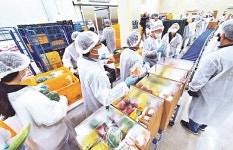 [포토] 춘천시, 지역 학생 가정에 농산물 꾸러미 배송