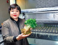 ‘게르마늄인삼’ 인기몰이… 대성푸드와 연 400억대 계약