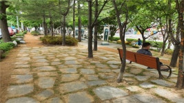인천, 생활권 주변 녹화 5곳 주민참여예산사업 인기