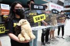 날씨 더워지니…칠성시장 개고기 논란 재점화