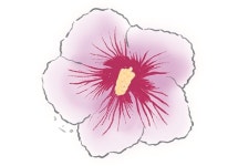 [살며 사랑하며] 나라꽃, 무궁화