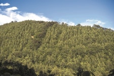 오지 청정 자연에 안겨 지친 심신 힐링~