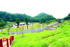 도심서 힐링… 구로 천왕산 가족캠핑장 내달 1일 개장