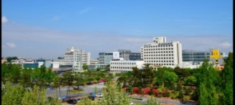 전북대병원 전공의 181명 전원 사직서 제출