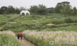 올 추석 서울시립 봉안당, 하늘공원 문 닫는다