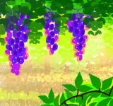 [인 더 바이블] 포도원(vineyard)