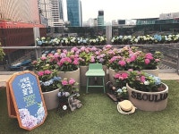 “서울로 7017 꽃길서 가을 정취 만끽하세요”
