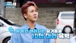 ‘펫 비타민’ 손연재, 체조 요정의 반려견 사랑 눈길