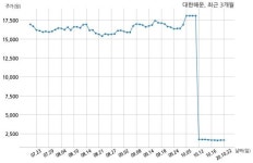 대한해운 240억원 규모 채무보증 결정