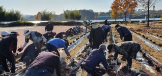 구리한강시민공원, 수국 식재로 명품 공원 발돋움