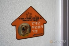 [널리] 롯데마트 사건에 울컥, 우린 ‘퍼피워커’입니다