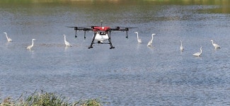 충북 음성 메추리 농장 AI 의심…간이검사 ‘양성’