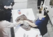 “동물병원 CCTV 보고 누구도 고개 들지 못했습니다”
