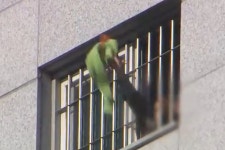 서울 동부구치소에서 “살려달라”며 노란 수건 흔든 수용자