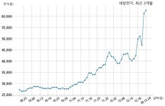 세방전지 자기주식 처분 결정