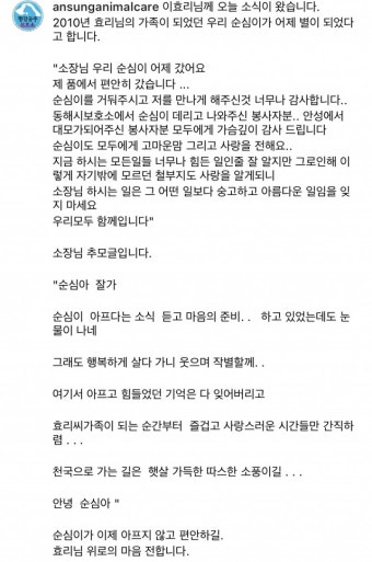 이효리, 반려견 순심이와 이별 “즐거운 시간만 간직하길”