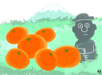[살며 사랑하며] 제주 감귤
